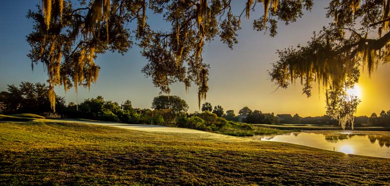 Course greens